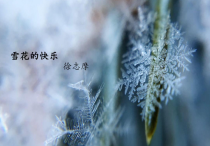 《雪花的快乐》徐志摩